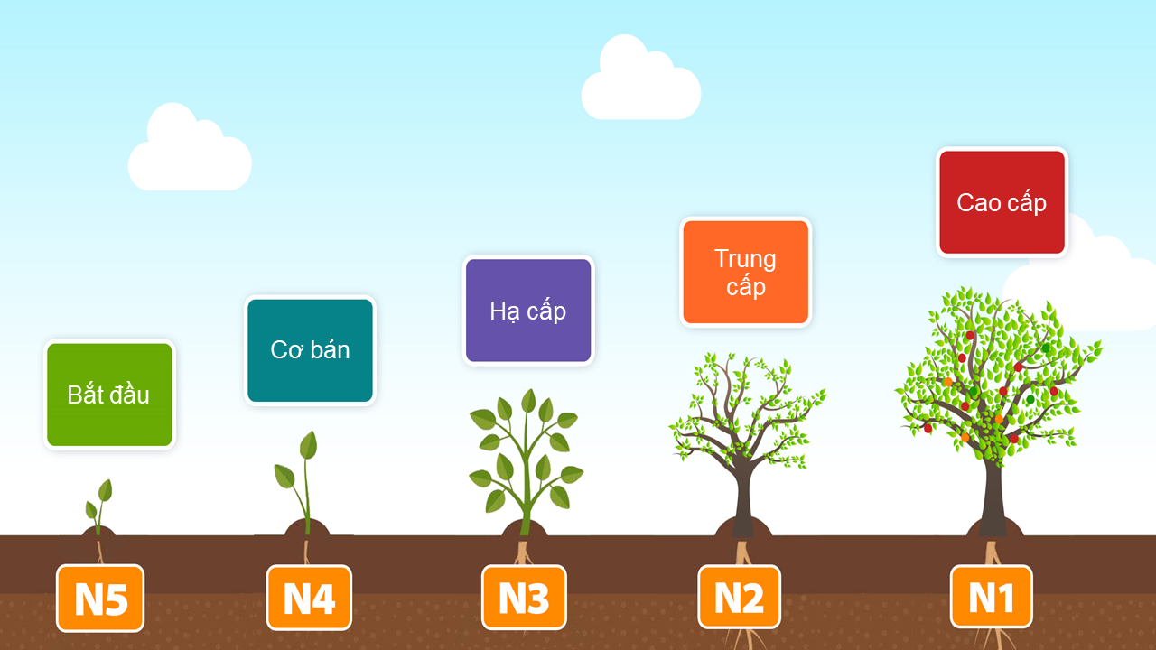 Tổng Quan Quy Trình Du Học Nhật Bản 