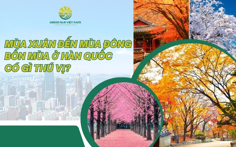 Mùa Xuân Đến Mùa Đông Bốn Mùa Ở Hàn Quốc Có Gì Thú Vị?